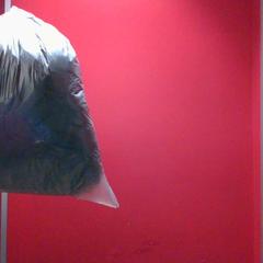 Manteau black, a été signalé par MEININGER Hotel Roma Termini utilisant iLost