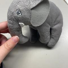 Knuffel Olifant, jak nahlášeno Burgers' Zoo pomocí iLost