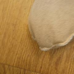 Votter, som rapportert av HTM ved bruk av iLost