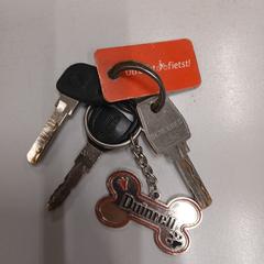 Keys an iLost gemeldet