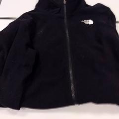 Vesta, jak nahlášeno Vrije Universiteit Amsterdam pomocí iLost