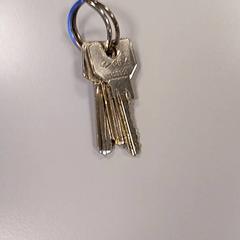 Schlüssel Grijs, gemeldet von Vrije Universiteit Amsterdam über iLost