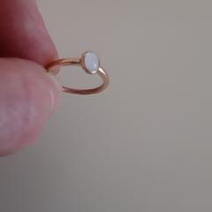 Ring, iLost'a bildirildiği gibi