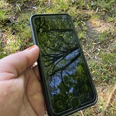 Iphone with a black case, as reported to iLost