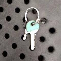 鍵 2 sleutels がiLostで Arriva Infoshop Enschede によって報告されました