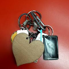 Chaveiro, segundo informou UvA REC usando iLost