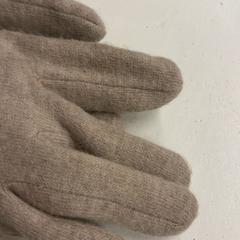 Handschoenen, zoals gemeld door HTM met iLost