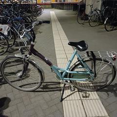 Fiets がiLostに報告されました