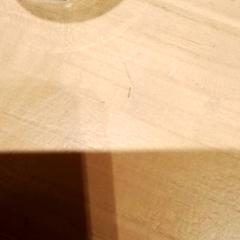 زجاج، كما تم الإبلاغ عنه بواسطة Beekse Bergen Resorts en Hotel عبر iLost