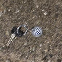 Keys, jak zgłoszono do iLost