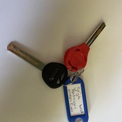 Sleutelbos / Keys (2 sleutels & blauw label), as reported to iLost