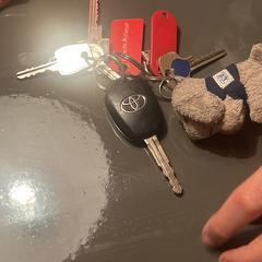 Sleutel bos a été signalé sur iLost