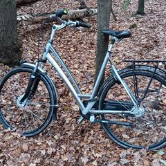 Gazelle damesfiets, som rapportert til iLost