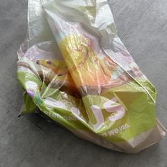 Borsa, come riportato da Arriva Achterhoek-Rivierenland utilizzando iLost