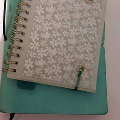 공책, iLost를 사용하여 allGo Almere에 보고됨