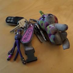 sleutelbos 'chanel', as reported to iLost