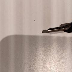 Schlüssel, gemeldet von De Efteling über iLost