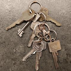 Sleutelbos، كما تم الإبلاغ عنه عبر iLost