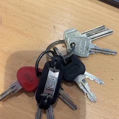 İLost kullanarak Gemeente Gooise Meren tarafından bildirildiği gibi Anahtarlık