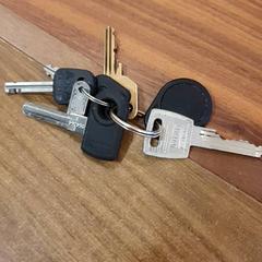 سلسلة المفاتيح، كما تم الإبلاغ عنه بواسطة Gemeente Heemstede عبر iLost