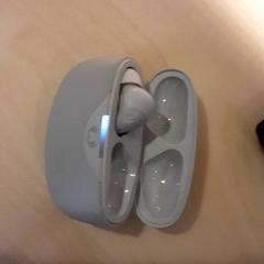 Rato Oortjes met case grijs, como reportado por LUMC utilizando o iLost