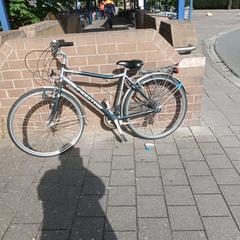 Herrcykel Prestige Paris groen-zilver, rapporterat av Fietsdepot med iLost