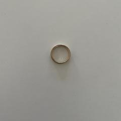 Ring, som rapportert til iLost