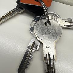 Sleutelbos, amint azt az iLostnak jelentették.