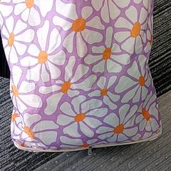 Bossa, segons ha informat Arriva Vechtdallijnen mitjançant iLost