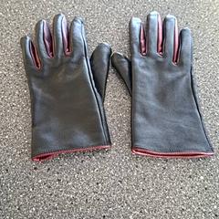 Rukavice, ako bolo nahlásené Connexxion Amstelland-Meerlanden Amstelveen pomocou iLost