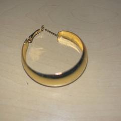 Náušnica, ako bolo nahlásené Jaarbeurs pomocou iLost