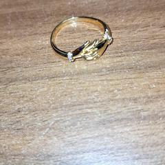 Ring, as reported by Qbuzz DMG using iLost