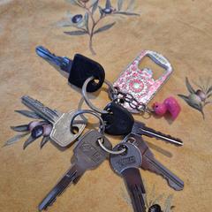 Sleutelbos, som rapporterats till iLost