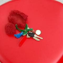 Sleutëls, ha sido reportado por Arriva Infoshop Enschede con iLost