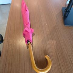 Dáždnik Rose, ako bolo nahlásené Regio Limburg - Leuven pomocou iLost