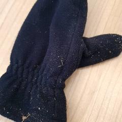 Rękawica Zwart links, zgłoszono przez DierenPark Amersfoort przy użyciu iLost