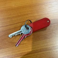 Nøkkel, som rapportert av Arriva Achterhoek-Rivierenland ved bruk av iLost