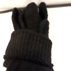 Handschoenen, zoals gemeld door Arriva Limburg Noord met iLost