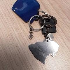 İLost kullanarak Qbuzz Fryslân tarafından bildirildiği gibi Anahtar