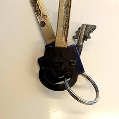 Porte-clés, a été signalé par Arriva Den-Bosch utilisant iLost