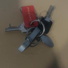 Llavero, ha sido reportado por Jaarbeurs con iLost