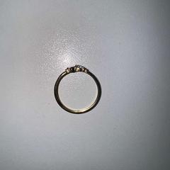 Prsten, jak nahlášeno AFAS Live pomocí iLost