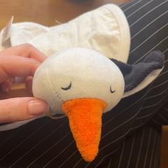 كنوفل Vogel، كما تم الإبلاغ عنه بواسطة GVB عبر iLost