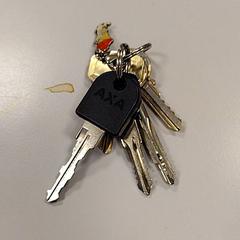 Chiavi, come riportato da Vrije Universiteit Amsterdam utilizzando iLost