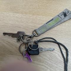 Sleutelbos، كما تم الإبلاغ عنه عبر iLost