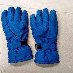 Handschuhe Blauw, gemeldet von Qbuzz GD Groningen Peizerweg über iLost