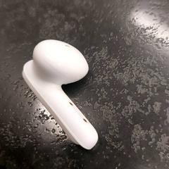 Oortje, como reportado por Rotterdam The Hague Airport utilizando o iLost