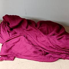 Xal Stof roze, segundo informou Qbuzz GD Groningen Peizerweg usando iLost