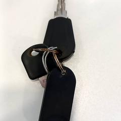 Klucze, zgłoszono przez Arriva Limburg Noord przy użyciu iLost