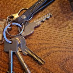 sleutelbos, jak bylo nahlášeno na iLost